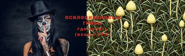 альфа пвп Володарск