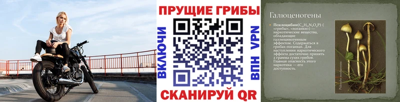 блэк спрут онион  Лиски  Псилоцибиновые грибы MAGIC MUSHROOMS  где продают  
