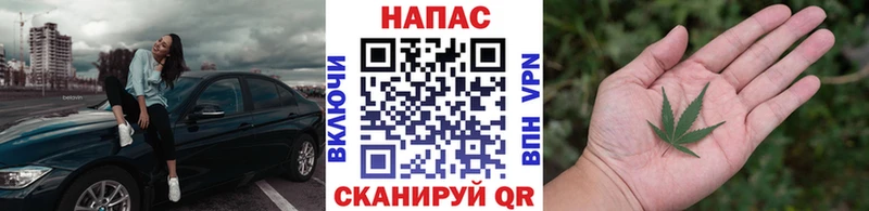 где можно купить наркотик  darknet официальный сайт  Канабис THC 21%  Лиски 